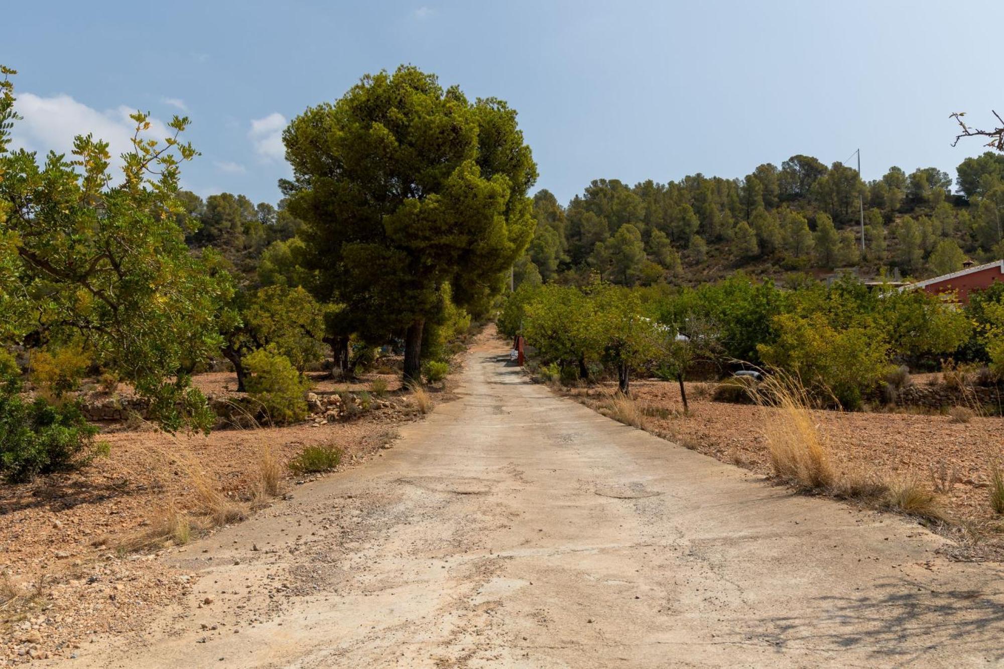Finca El Escondite Olocau Екстериор снимка